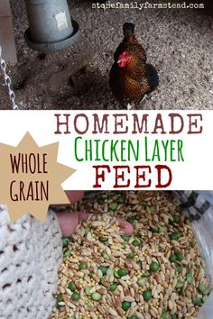 the homemade chicken layer feed is made with whole grain