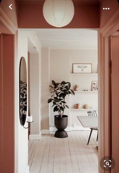 a plant in a black vase sitting on top of a wooden floor next to a mirror