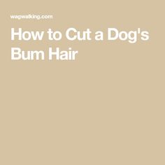 the words how to cut a dog's bum hair are in white letters on a tan