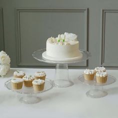 a cake and cupcakes are sitting on the table