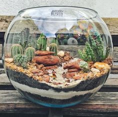 a glass bowl filled with plants on top of a wooden bench