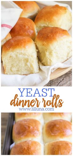 homemade dinner rolls on a baking sheet and in a pan with the recipe title above it