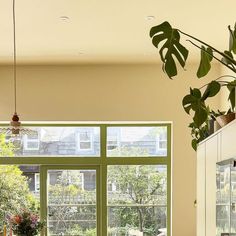 an open kitchen with lots of windows and plants