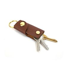 two keys in a black leather case on a white surface with gold hardware and brass accents