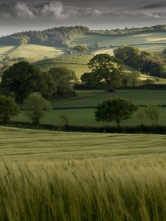 a green field with trees and rolling hills in the distance, under a cloudy sky