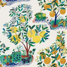 an orange tree with lots of leaves and flowers on white background, surrounded by other fruit trees