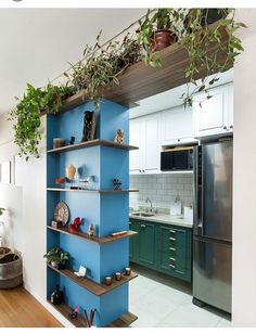 a kitchen with blue shelving and plants on the shelves