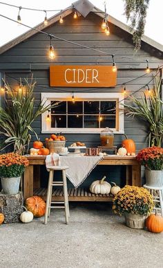 an outdoor cider with lots of pumpkins and gourds on the table