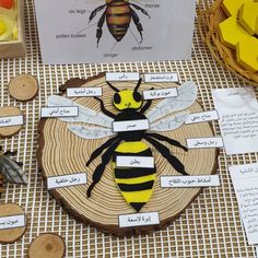 a table topped with lots of different types of bees on top of wooden slices and paper