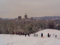 a group of people standing on top of a snow covered slope next to trees and buildings