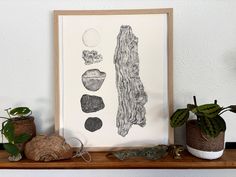 some plants and rocks are on a shelf next to a framed art print that is hanging on the wall