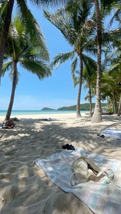 a beach with palm trees and towels on the sand