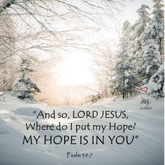 a snowy path with trees and the words, and so lord jesus, where do i put my hope? my hope is in you