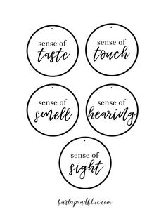 four circle labels with the words sense of taste, smell and serse of seeing