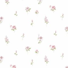 pink flowers on a white background