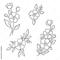 four different flowers with leaves on them