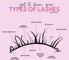 Classic Set Lashes, Extension Types, Types Of Lashes, Natural Looking Eyelash Extensions, Lash Extension Training, Lash Supplies, Eyelash Extension Training