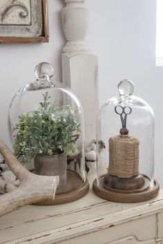 two glass cloches with plants in them on top of a white dresser next to a window