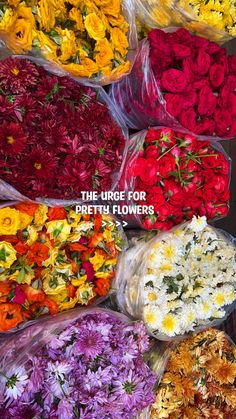 many different types of flowers are in bags on the table with text that reads, the urge for pretty flowers