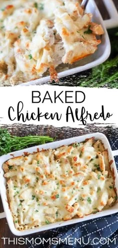 baked chicken alfredo in a casserole dish