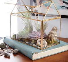 a glass house with plants inside on top of a book next to rocks and pebbles