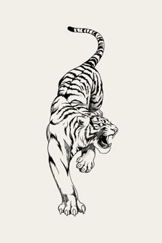 Fineline Tiger Tattoo Shin Tattoo, Tattoo Line, Tattoo Portfolio, Tattoo Design Book, Tiger Art, Tiger Tattoo