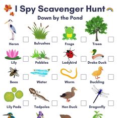 i spy scavenger hunt for kids to learn how to read the words and pictures