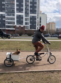 a man riding a bike with a dog in the basket