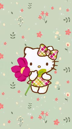 a hello kitty holding a flower on a green background