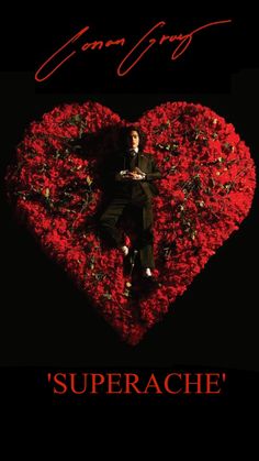 a man sitting in the middle of a heart surrounded by red flowers with words underneath him