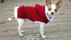 a small dog wearing a red and white knitted sweater standing on a wooden deck