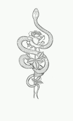 a drawing of a snake with roses on it's back and the end of its tail