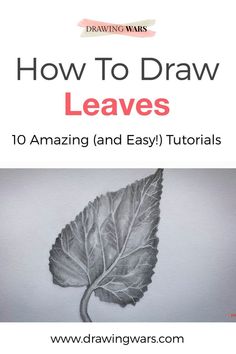 how to draw leaves in 10 easy steps