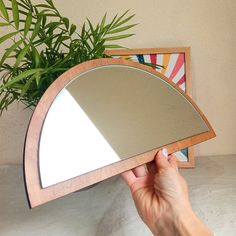 a person holding a mirror in front of a potted plant