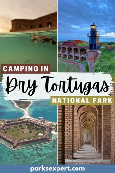 the top things to see and do in dry tortugas national park