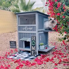 a small dog house in the middle of some red flowers and greenery with a sign that says welcome