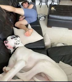 a dog laying on top of a black couch next to a person sitting in a chair