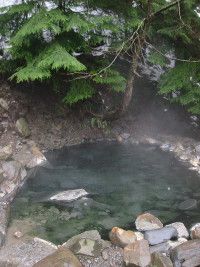 there is a hot spring in the middle of some rocks and trees on the other side