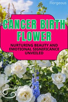 Cancer Birth Flower Love Messages, Of Love, Plants, Flowers