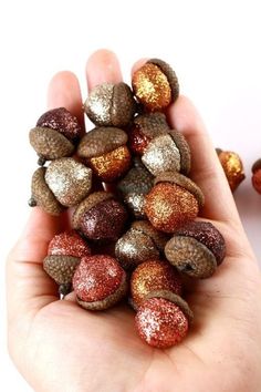 a hand holding some glittered acorns in it's palm