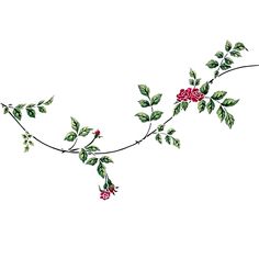 a branch with red flowers and green leaves on it, painted in watercolor by hand