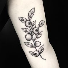 a black and white photo of an apple branch tattoo on the right arm with leaves