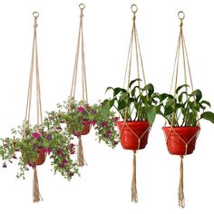 DescriptionIntroducing the Pot Holder Macrame Plant Hanger, a Hanging Planter Basket with Braided Rope, perfect for adding a touch of Garden Art to your space.SpecificationsThis Hanging Rope is crafted from durable material, designed to hold your favorite flower pots securely. It comes in three different lengths - 90cm, 105cm, and 122cm. Please note that this package includes only the Pot Holder and does not come with flower pots or plants.FeaturesOur Hanging Rope is not just a functional item, but also a piece of art. It&apos;s hand-woven, adding a touch of horticultural greenery and simple elegance to your space. It&apos;s lightweight and can hold heavy flower pots with ease.This Hanging Rope is versatile and can be used both indoors and outdoors. However, we recommend bringing them insi Macrame Hanging Planter, Flower Pot Holder, Handmade Plant, Home Garden Plants, Austin Mahone, Hanging Flowers, Flower Planters, Boho Home, Metal Ring