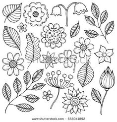 the flowers and leaves are drawn by hand on a white background