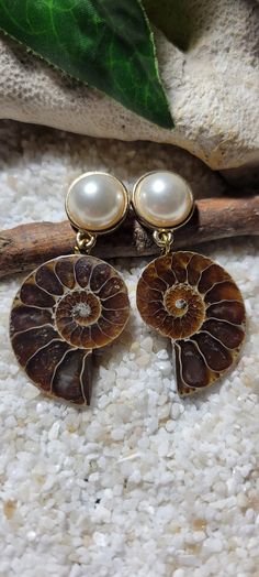 Ammonite Earrings, Ammonite Pendant, Ammonite Jewelry, Fossil Earrings, Opal Jewelry Set, Stone Necklaces, Fossil Jewelry, Ammonite Fossil, Future Wardrobe