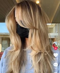 alice don’t worry darling hair inspo Long Hairstyles With Layers, Hairstyles With Layers, New Long Hairstyles, Long Layered Hair, Long Straight Hair