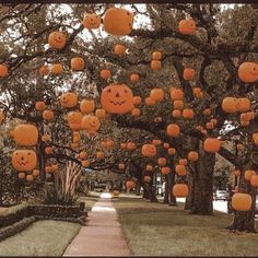 many pumpkins are hanging from trees in the park as if they were carved to look like faces