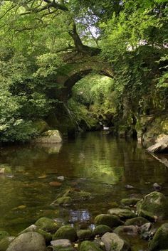 a river running through a lush green forest filled with rocks and trees under a stone bridge