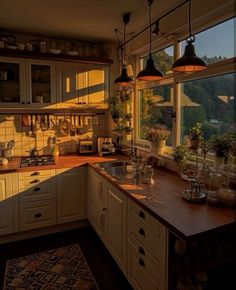 a kitchen filled with lots of counter top space next to a window covered in potted plants