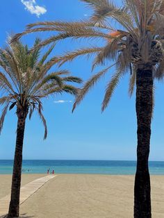 two palm trees on the beach with people in the water and blue sky behind them